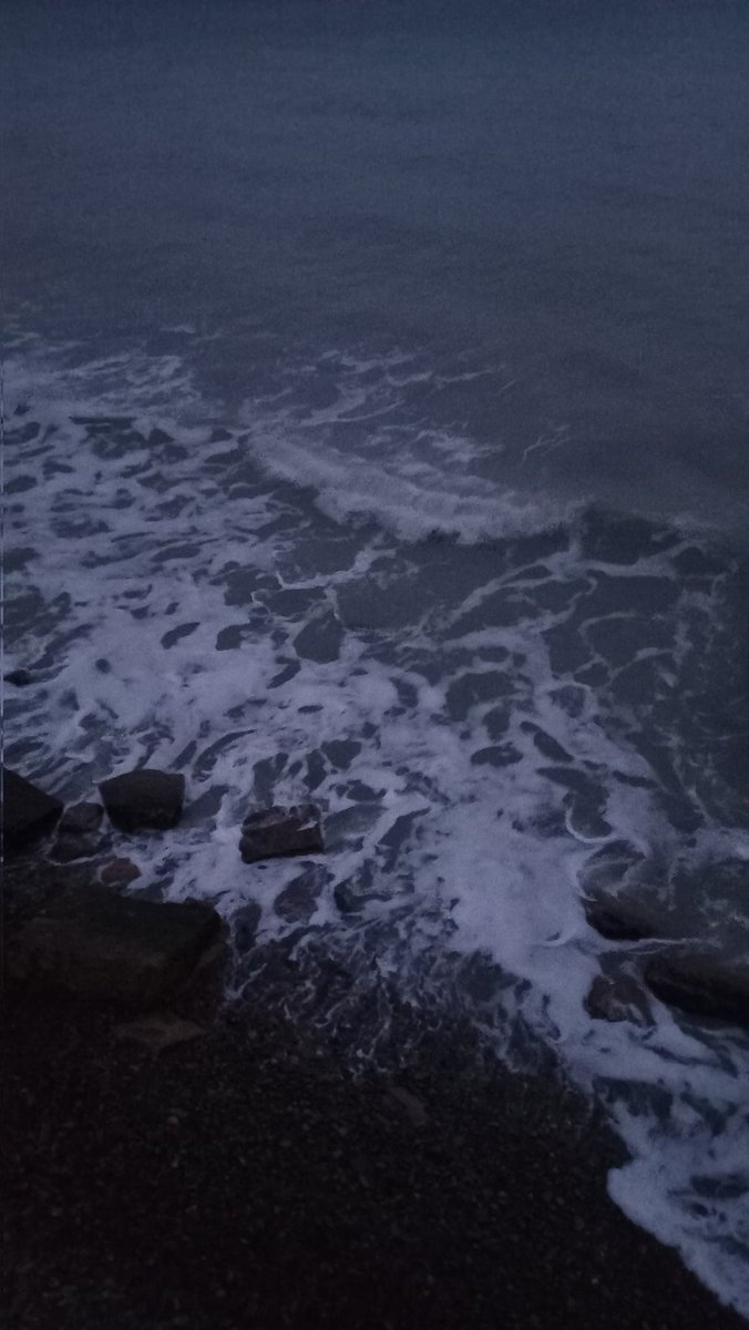 treuemlieben's tweet photo. Я вообще море пришла показать. И кошку. https://t.co/pqLEW4kBFs