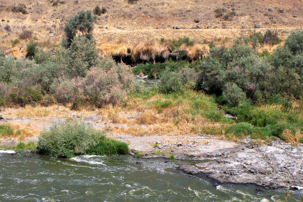 Klamath River Basin  

(Klamath Falls, Oregon, August 2018)  

#photography #landscapephotography #naturephotography #landscape #nature #river #rivers #riverbasin #KlamathRiver #KlamathFalls #Oregon