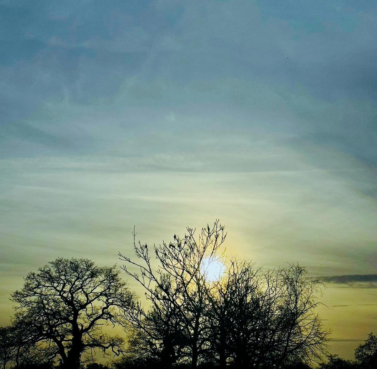 TheParaRiderMD's tweet photo. Fantastic to catch up with the family earlier at The Orange Tree in Solihull as we left the pub in a beautiful sunset view after eating Fish & Chips 🍊🌳🍽️
#TheOrangeTree #FamilyPub #SaturdayLunchtime #TeamMatt #Solihull #Sunset https://t.co/xamx4tmVVN
