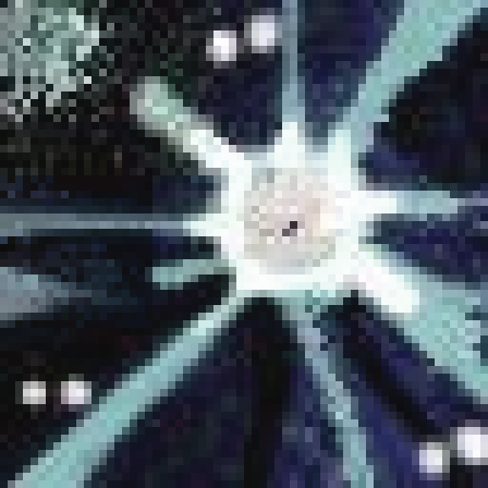 bubbo & dinky (@famousbubbo) on Twitter photo 