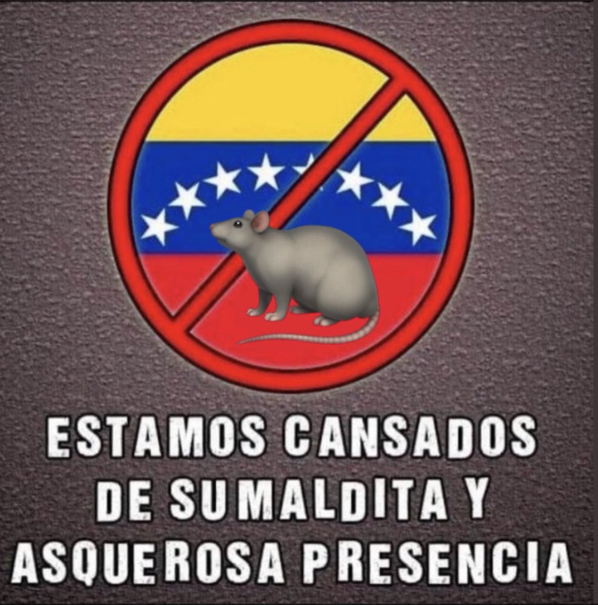 8cielos's tweet photo. Malloa https://t.co/CoNENEpEed
