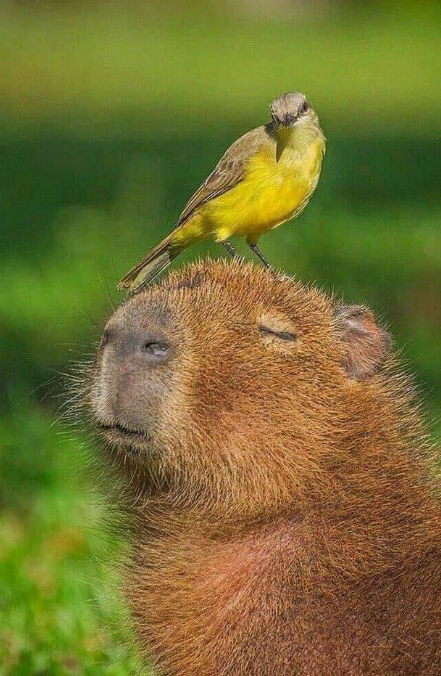 BeedoughB's tweet photo. https://t.co/BGQGLIhWIg