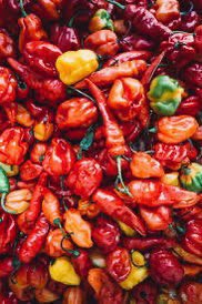 DE_BLAKES's tweet photo. Choose your pepper
Cameroon. Or Nigeria?
#AFCON2023 #AFCON #Osimhen #SuperEagles #NGRCAM #NGACAM https://t.co/2aNUjqKoQz