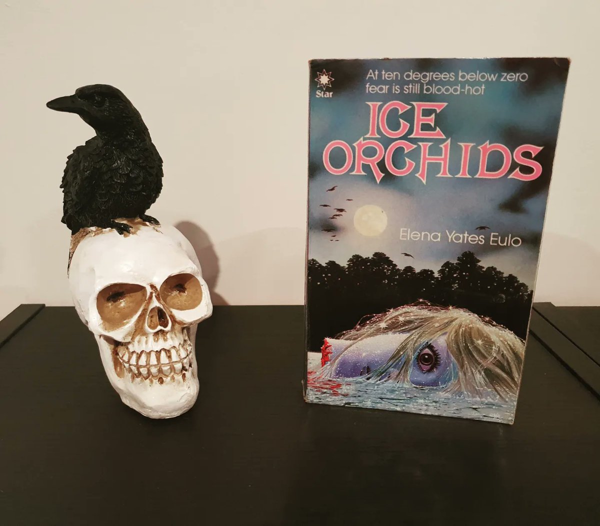 Bookaholicdude's tweet photo. Had this one on the shelf for a while. Never seen it mentioned before anyone ever read it or even heard about it before? From 1984.
#horrorbooks #HorrorCommunity #HorrorFamily #horrorpaperbacks #paperbacksfromhell https://t.co/dxhHWpoq67