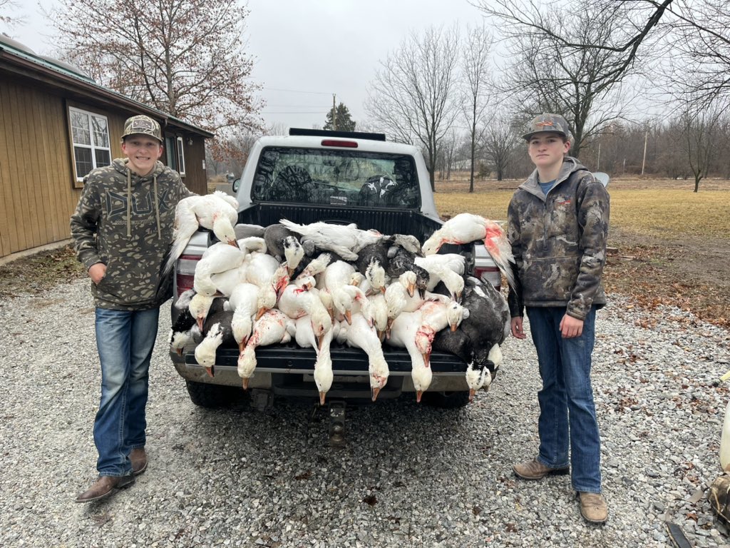 Kids did well this morning.  #snowgeese #missouri #waterfowl #blackdog #clintonmo