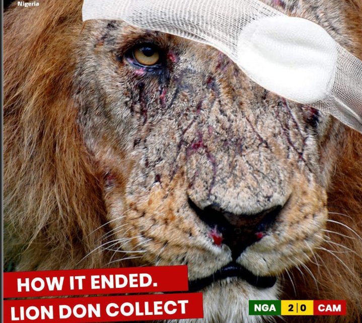 Eagle 🦅 ti b'oju lion jë 😆😆😆 ni #afcon2023 Oose <a href="/Alookman_/">Ademola Lookman</a>