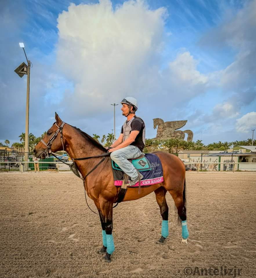 Senor Buscador had all of Sunland Park racetrack cheering him on from New Mexico!! 🏇