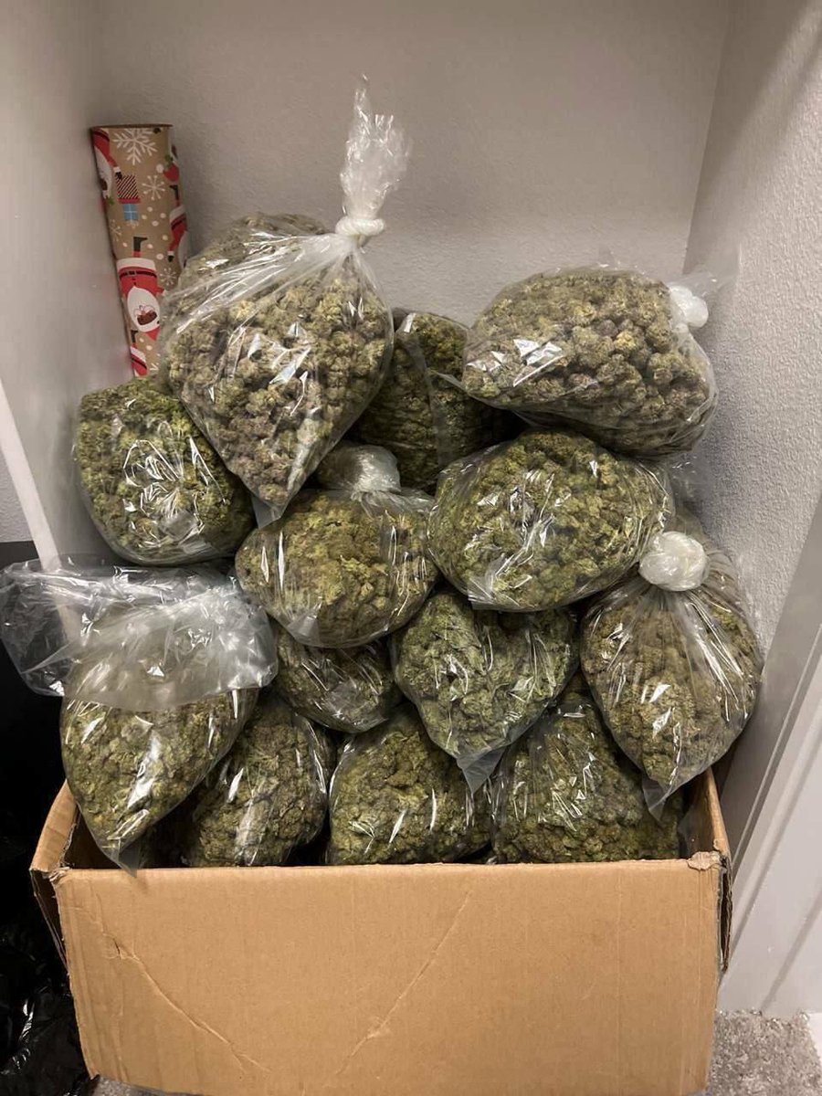 PlugManFinest's tweet image. Get at me last of the candy runtz 300$ pounds lmk no bullshit ass people that ask to many questions read my profile bio
