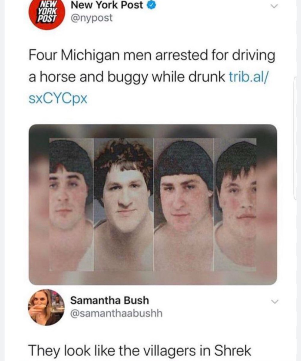 chaotic memes (@memechaotic) on Twitter photo 