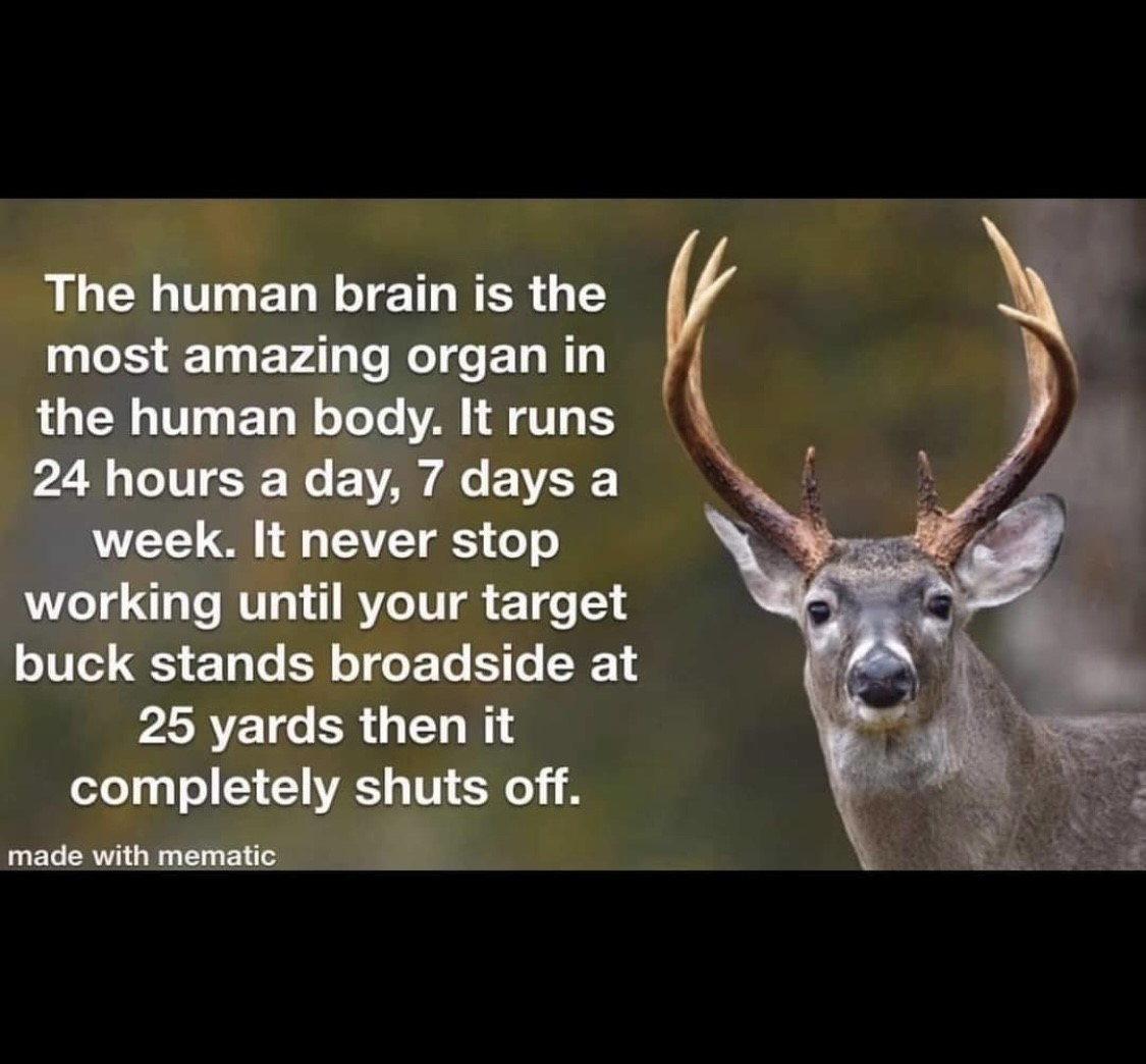 OUTDChannel's tweet photo. How do you deal with buck fever? - Shared by @badoutdoorstv
#FindYourAdventure #hunting #outdoors #buck #buckfever #deer #deerhunting #whitetail #whitetails #whitetailhunting https://t.co/smsUDvtUvB