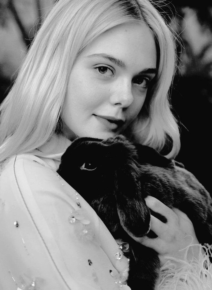 — * 𝓣𝐡𝐚𝐥𝐢𝐚 tweet media