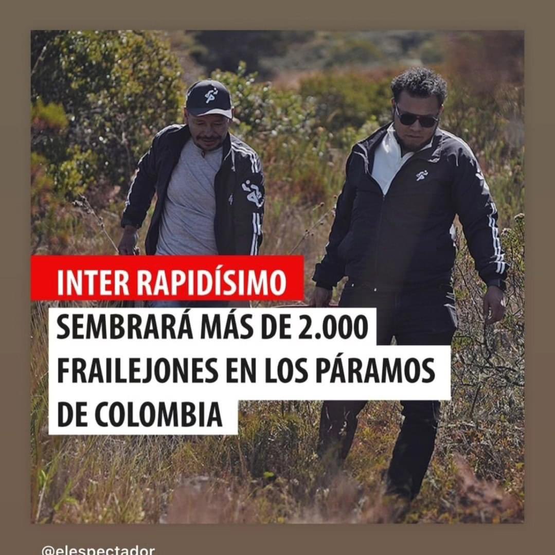 HelverHafc's tweet photo. Excelente labor por parte de @Interrapidisimo 👏👏👏👏 https://t.co/7T2BJq3Rpo