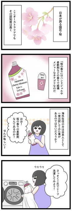 柔軟剤やハンドジェル等よくJapanese cherry blossom の香りを見かける。嬉しい反面、たいていクサい(個人の感想)。🌸柔軟剤でシーツを洗ってしまい、くさい➕コレ桜ジャナイ!感がすごいのとで寝苦しかった夏の夜。良い香りの🌸があったら教えて下さい。
#海外あるある #オーストラリア生活 