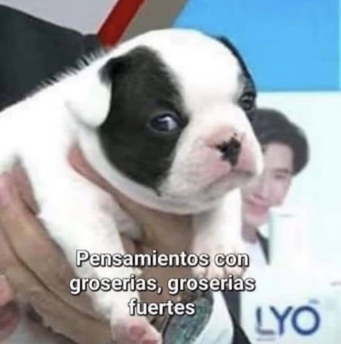 mafergomez1104's tweet image. #AlejoSacaMusica