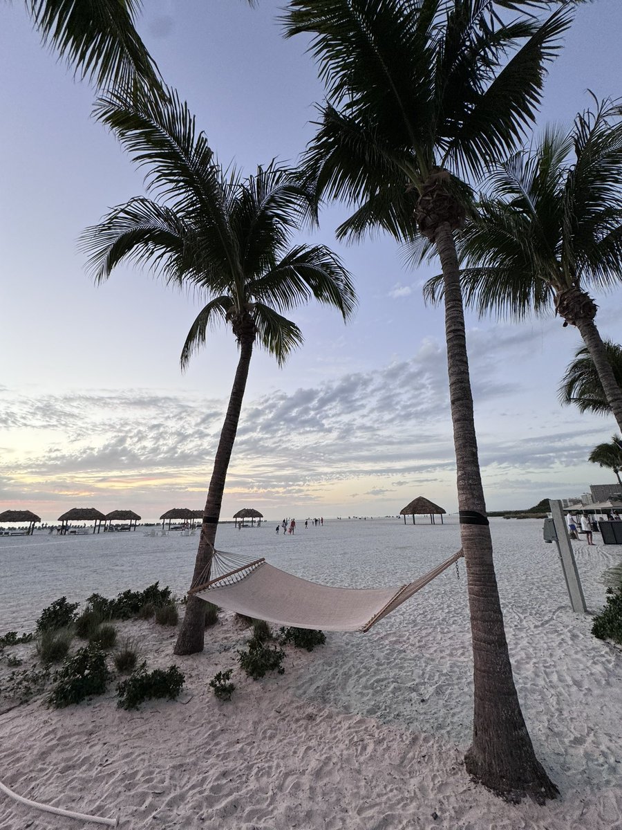 matt barash tweet media