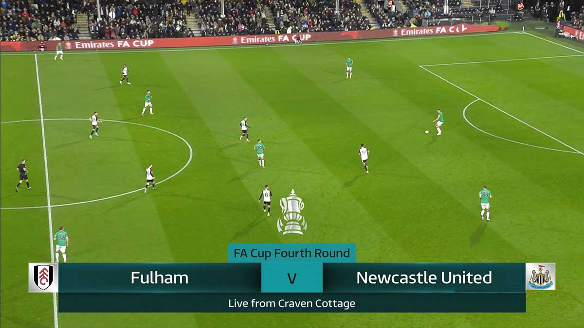 Fulham vs Newcastle