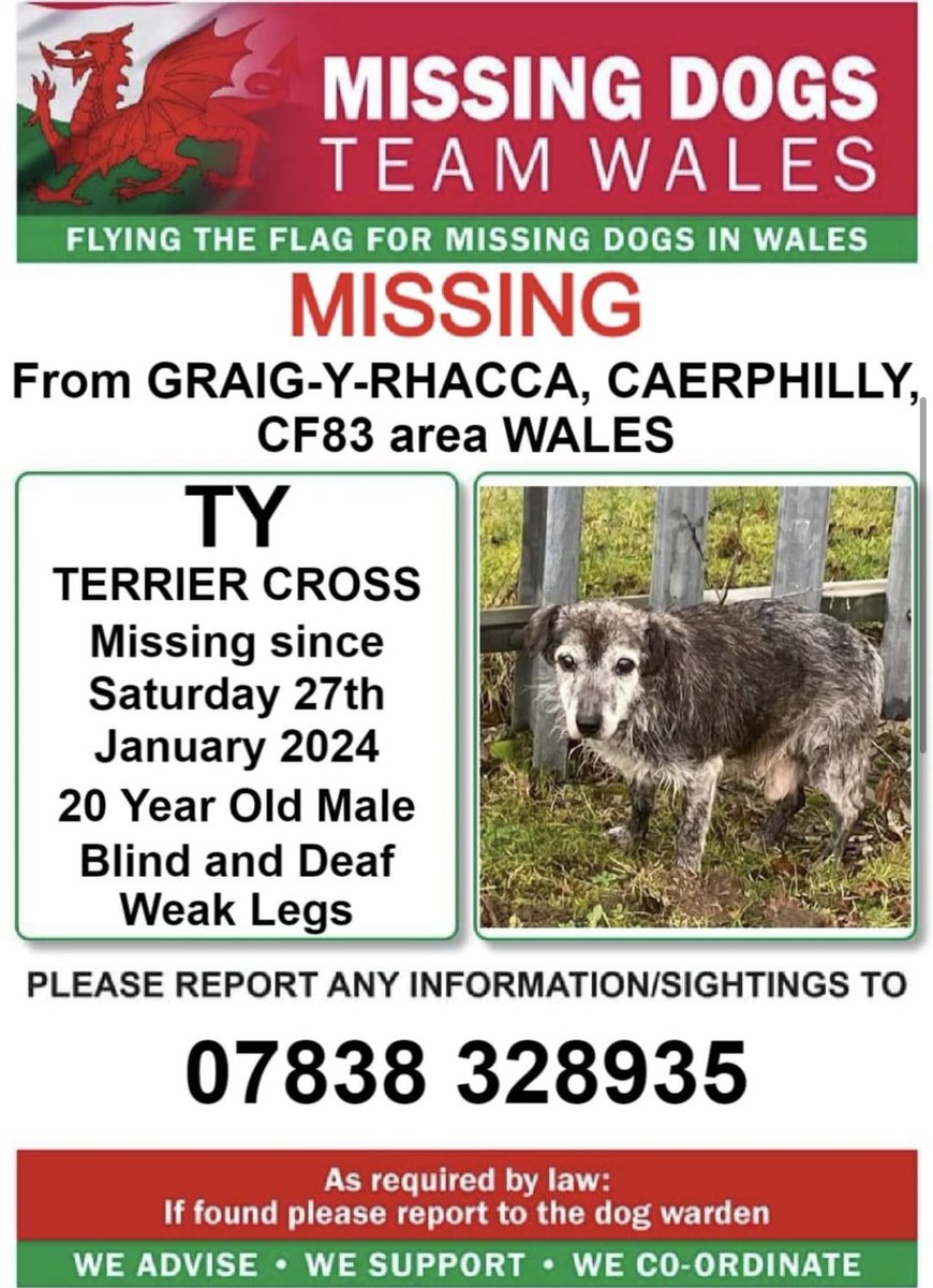 ‼️URGENT SHARES NEEDED ‼️

TY IS 20YRS OLD ! DEAF AND BLIND ALSO WEAK ON BACK  LEGS. MISSING FROM #GRAIGYRHACCA #CAERPHILLY #CF83 #WALES 
PLEASE LOOK OUT FOR HIM !