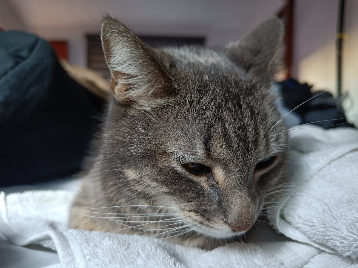 Hace mucho que no subía una foto de la Michi 🥺