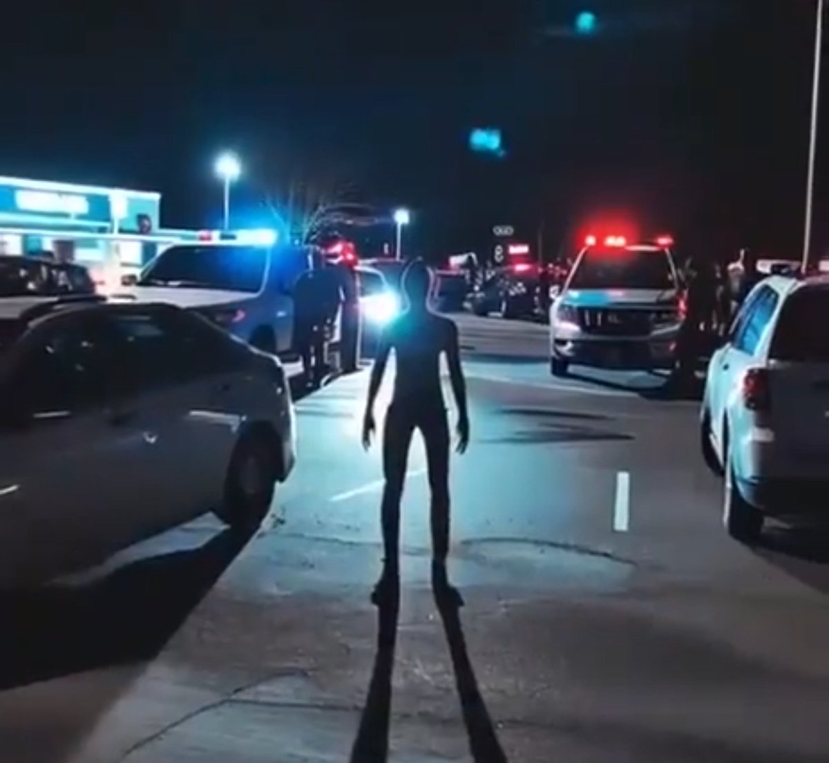 Shadow of Ezra tweet media