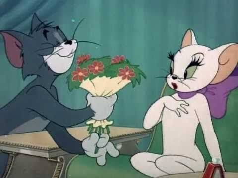 Jerrynin aşık olduğu kedi??? 🥺