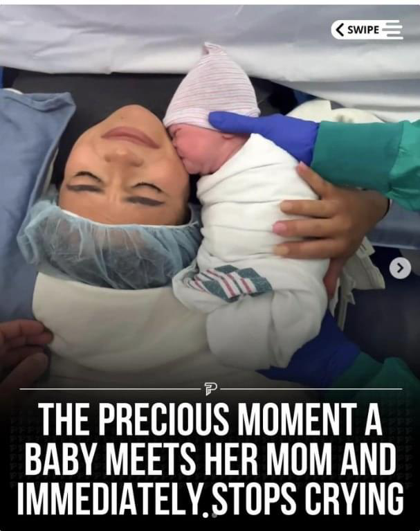 HazelAppleyard's tweet photo. Babies know who their mama is. 

Surrogacy is a crime against humanity. https://t.co/qublwElOPq