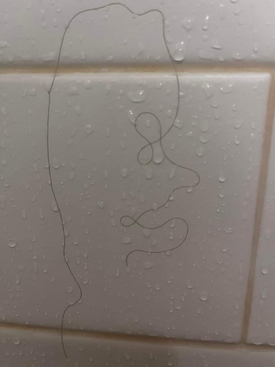 gavinthomas2015's tweet image. Apparently, if you can see a parrot, you're left-brained, and if you can see a whale, you're right-brained. What do you see in the hair?