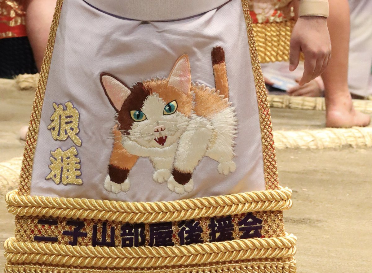 mionoumi's tweet photo. 狼雅
ﾆｬｰｯ‼︎🐈 https://t.co/uEyYj6baze