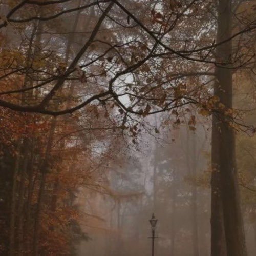 aperfectpumpkin's tweet photo. Missing these vibes https://t.co/qA89xX3ImL
