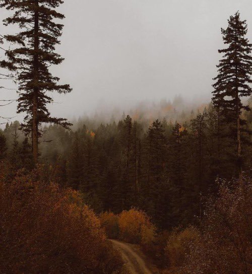 aperfectpumpkin's tweet photo. Missing these vibes https://t.co/qA89xX3ImL