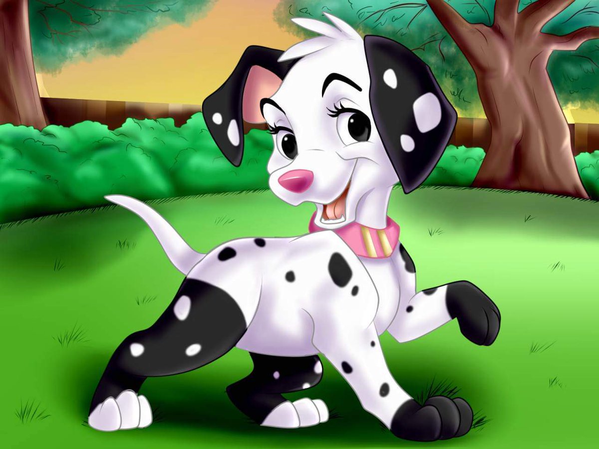 Misty ๐ธ๐๐บ๐ Dalmatian (@mistydalmati101) on Twitter photo My name is Misty, I'm a dalmatian puppy who loves to play. I'm also very prissy like my mama <a href="/PrissyPuppy_/">๐๐พ๐ฆแง๊ซแญ๊ซ๊ชถ Renee ๐๐ถ๐๐๐ถ๐๐พ๐ถ๐ ๐๐พ๐ฆ</a>. I'm special because it looks like I'm wearing socks on my feet and front paws.
#Siblings are @OneRoyalCorgi_, & <a href="/Missy101Dalmati/">๐๐ข๐ฌ๐ฌ๐ฒ ๐๐๐ฅ๐ฆ๐๐ญ๐ข๐๐ง ๐พ๐</a>, @Jayla101Dalmati.
#101DalmatianRP My name is Misty, I'm a dalmatian puppy who loves to play. I'm also very prissy like my mama <a href="/PrissyPuppy_/">๐๐พ๐ฆแง๊ซแญ๊ซ๊ชถ Renee ๐๐ถ๐๐๐ถ๐๐พ๐ถ๐ ๐๐พ๐ฆ</a>. I'm special because it looks like I'm wearing socks on my feet and front paws.
#Siblings are @OneRoyalCorgi_, & <a href="/Missy101Dalmati/">๐๐ข๐ฌ๐ฌ๐ฒ ๐๐๐ฅ๐ฆ๐๐ญ๐ข๐๐ง ๐พ๐</a>, @Jayla101Dalmati.
#101DalmatianRP