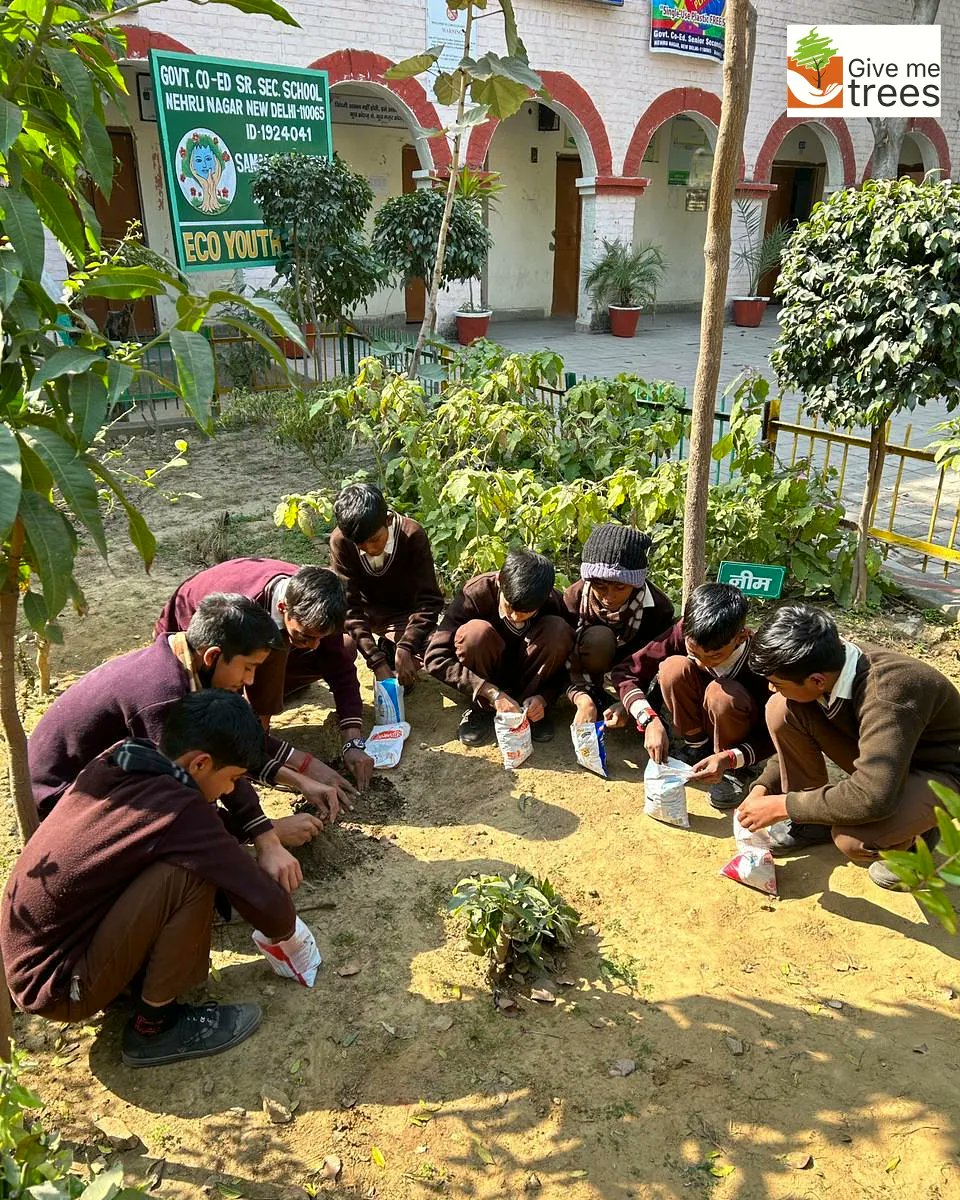 A Nursery Management session at a Senior Secondary Government Co-ed School in Nehru Nagar  #NewDelhi. 

The children learnt how to plant saplings in empty milk packets and other basics of how a nursery is managed. 

#natureeducation #educatingchildren #greenlearning  #givemetrees