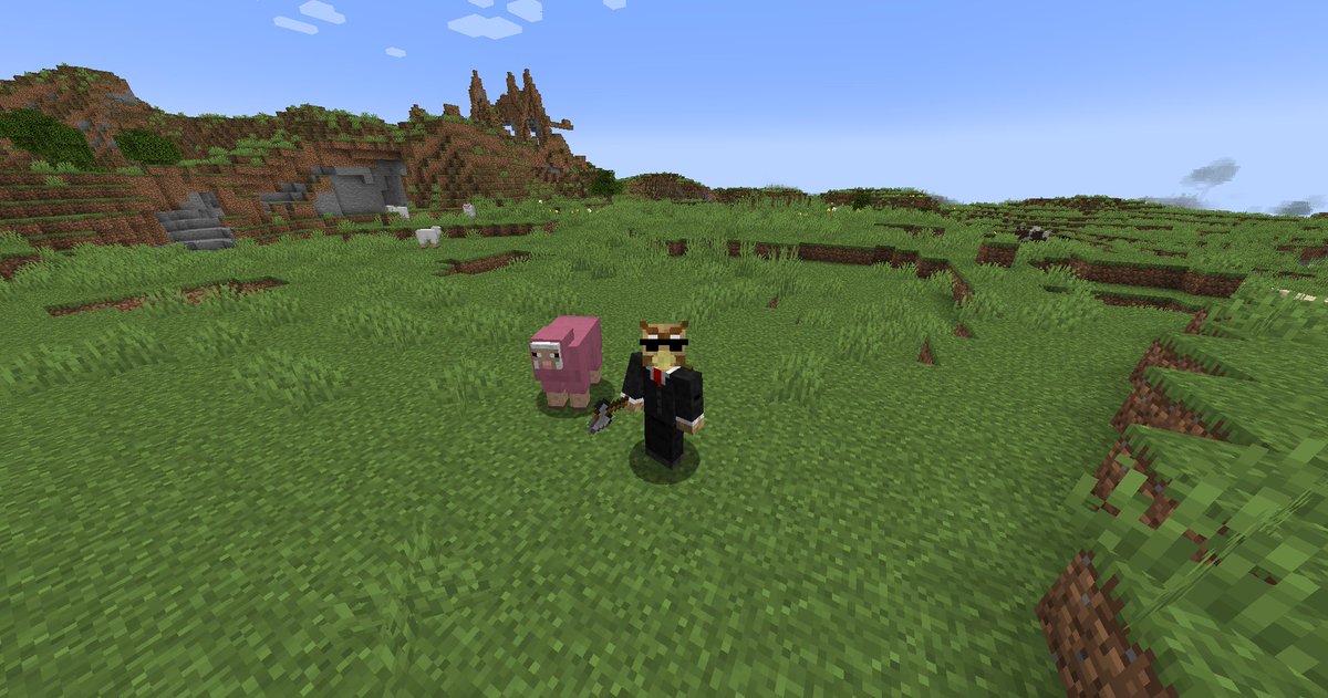 Claro, genero seed aleatoria y sale una obeja rosa, sera esta una señal?
-6418717643947866432
X -293 Y 72 Z -211