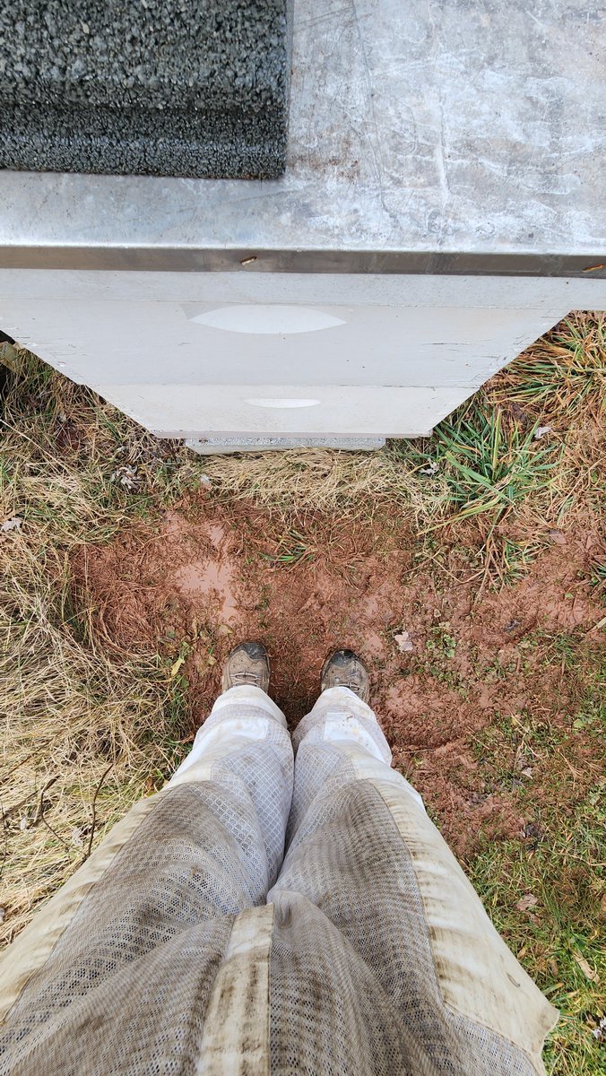 the_sheetar's tweet photo. @phillywx Mud season for real.  I could hear the water squishing out of the ground with every step today. https://t.co/ZDbSxraHda
