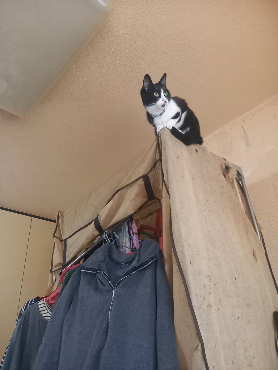 文化・文明をくれた🤲🏻🧡  ̖́-皆さまありがとうございます。m(_ _)m