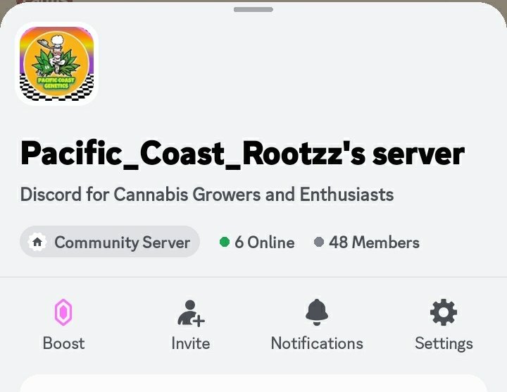 PCR_Genetics's tweet photo. Come join the discord to be entered in weekly giveaways and get gear before its even released https://t.co/NZwn3hewIz