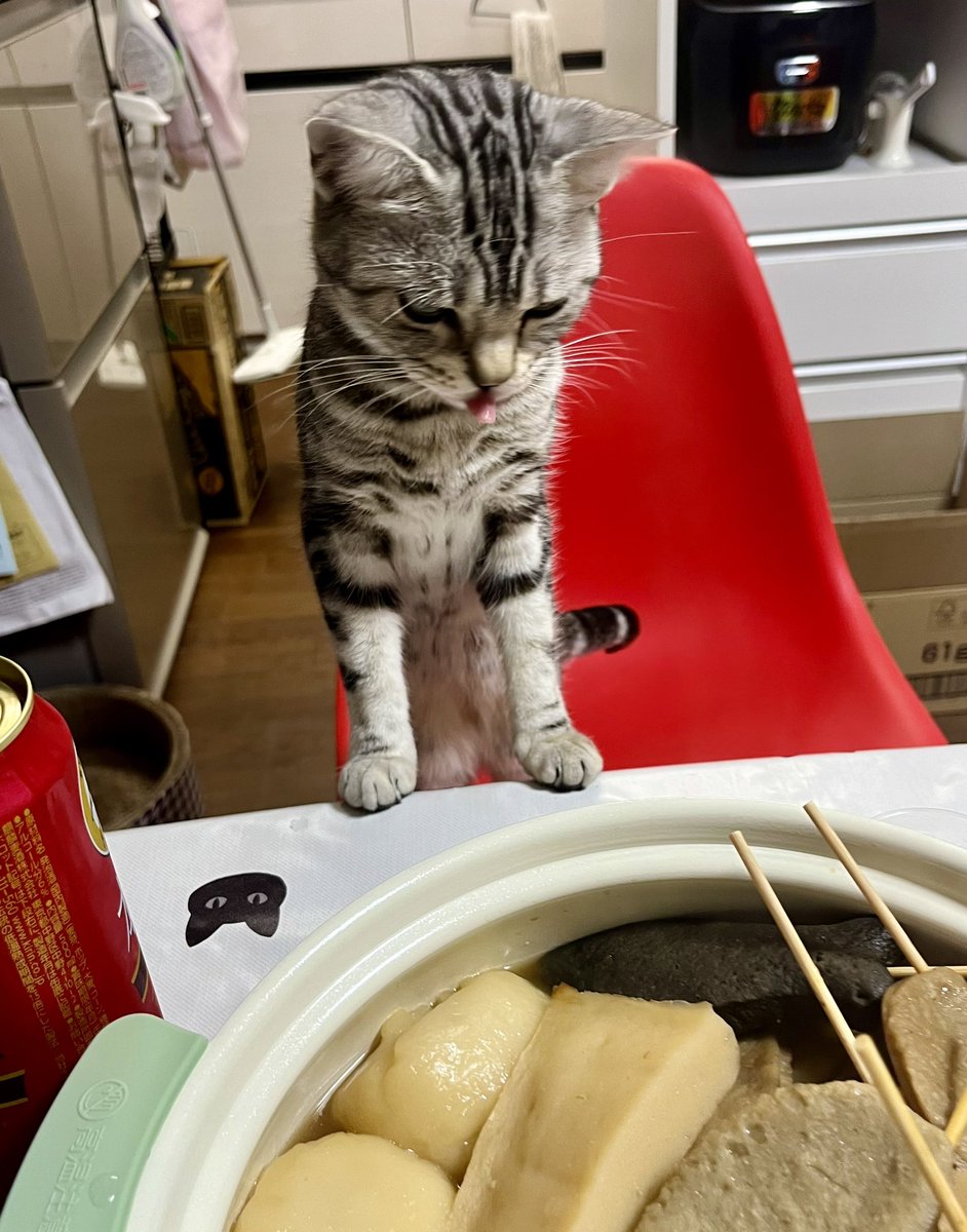 昨日は名古屋からの帰り道に、「しぞーかおでん」を購入して急いで帰宅🚛💦

このところ1日おきに沼津駿河湾SAに寄るほど、🍢マイブーム再燃してます🙀

ツマミ食いしないよう、見張り番を任される🐱