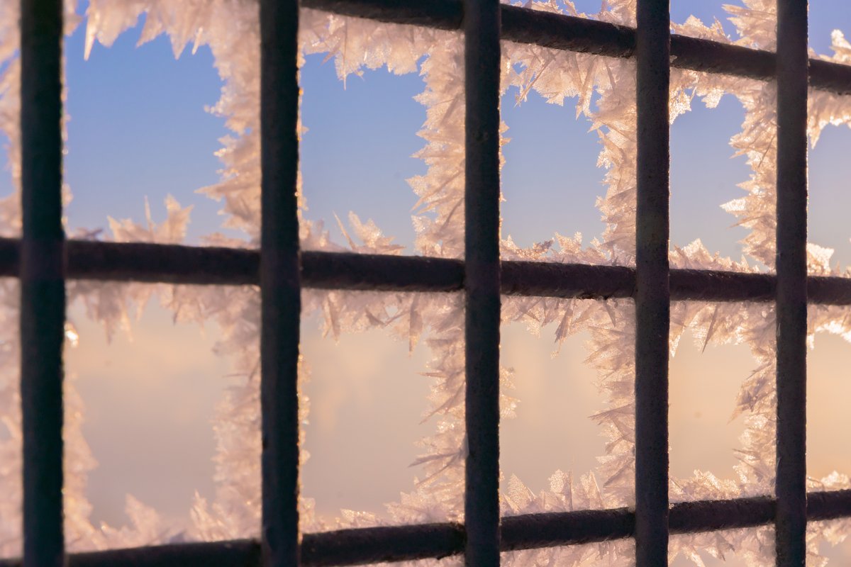 DaveDiCello's tweet photo. Exactly two years ago today was one of the most amazing sunrise I've ever seen in #Pittsburgh. It was -9º with 84% humidity, which lead to freezing fog around downtown. There were ice shards on the branches that caught the morning light perfectly. It was just mesmerizing. https://t.co/qogVkhvPO9