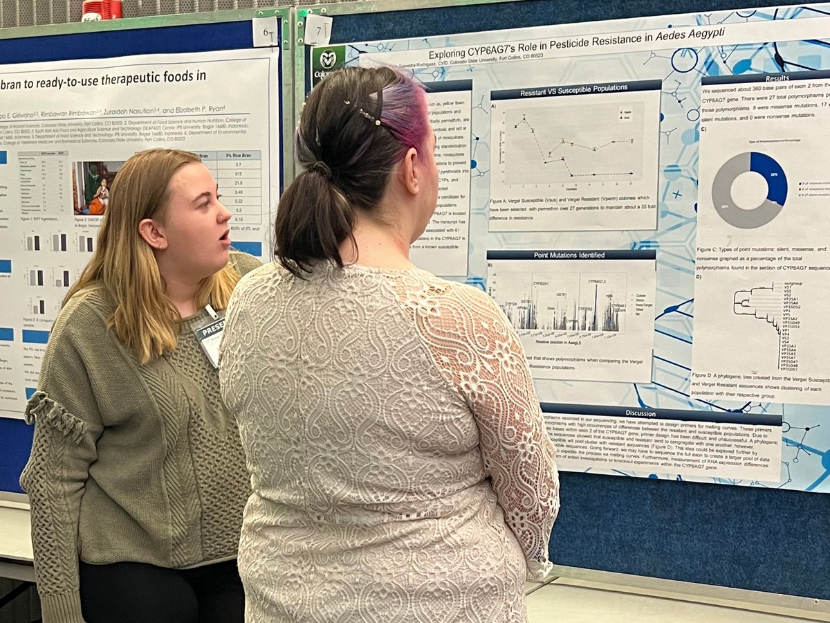 CSU_MIP's tweet photo. @CSUVetMedBioSci #Microbiology #MID #BiomedicalSciences #CVMBS #CVMBSResearchDay #ResearchPosters #UndergraduateResearch #UndergradInTheLab https://t.co/IicNtYJSEh