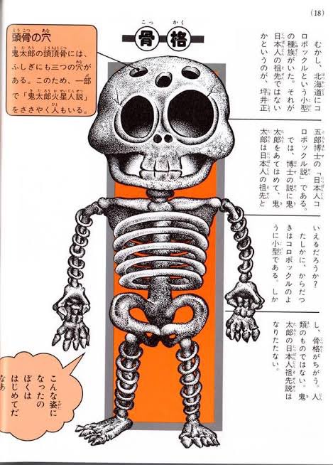 眼窩以外にも頭に三つ穴があいてます 