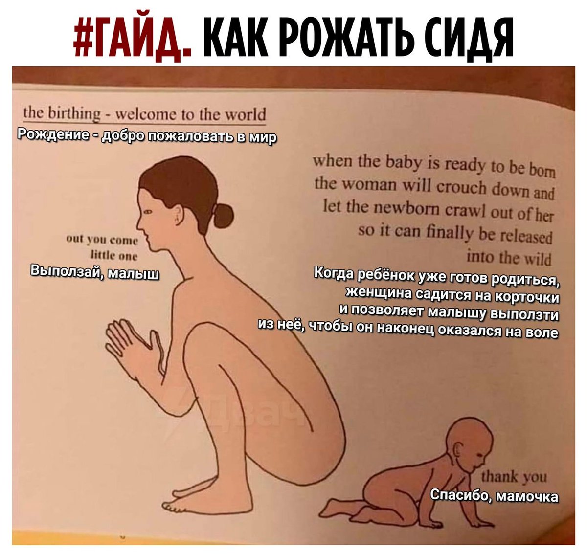 vabka2's tweet photo. @nutiknikita Я не могу найти фулл книги, но я точно помню, что это всё рофл. https://t.co/sdCcd7IEL7