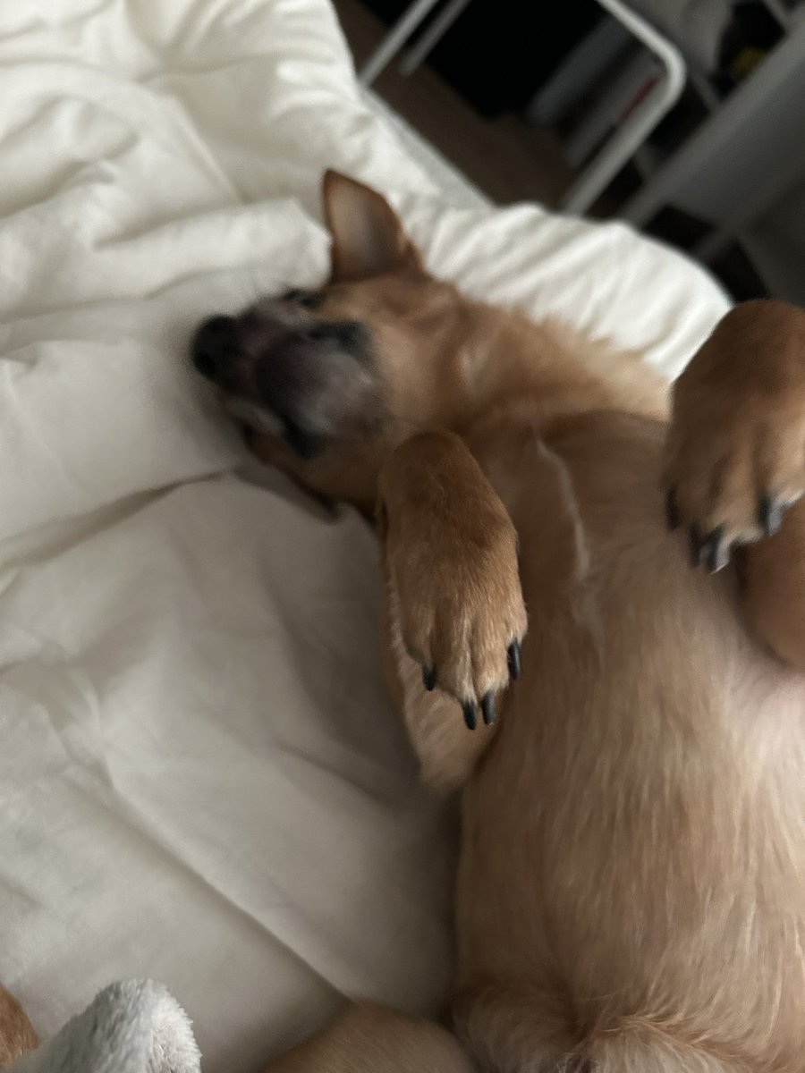 살 쩠다고 머라하니까 짜증냄