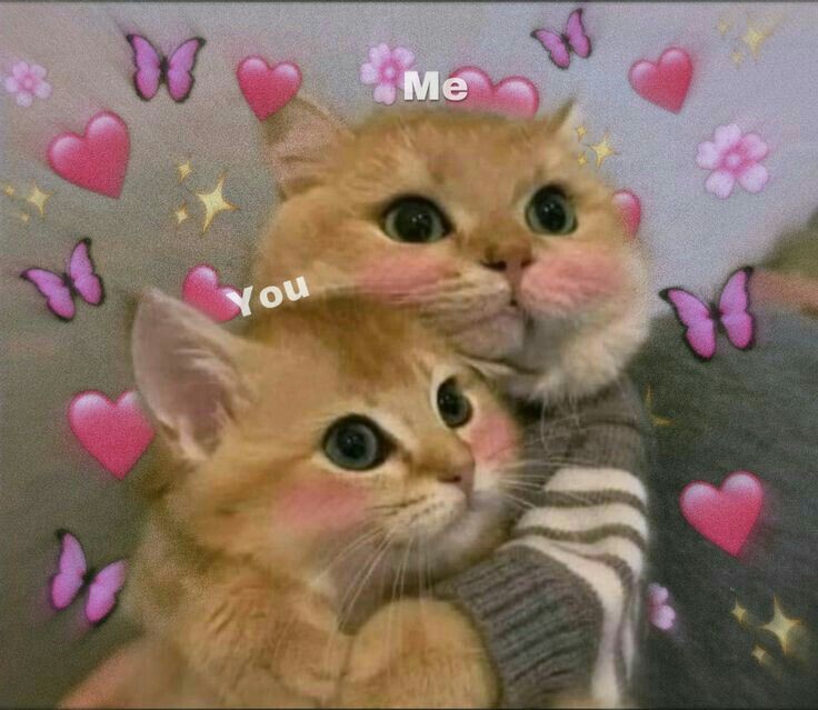 Happy mensive sayangkuu, semoga semugi samawa till end🙌🏻❣
<a href="/valourblake/">adip</a> <a href="/bxtrads/">tata</a> @reevxxr <a href="/_reaksi/">INDRA MASSAGE BANDUNG</a> <a href="/swissq/">!</a> <a href="/courdis/">b</a> @nyabuseq @idenatma <a href="/echienacea/">aufa</a> <a href="/fvckyouare/">sasa</a> <a href="/malvhatesyou/">vin</a> <a href="/wracpt/">kiplii</a> <a href="/AXLRDXZ/">alvino</a> @esseblvue <a href="/kntotts/">erik 𝐰𝐤𝐩 mabrun</a> @qBewitrch <a href="/oyenjie/">reyhan.</a>