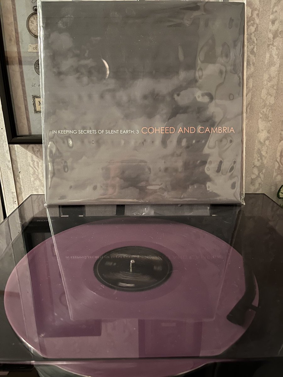 1 crow shy of a murder 🏴‍☠️🇺🇲 tweet media