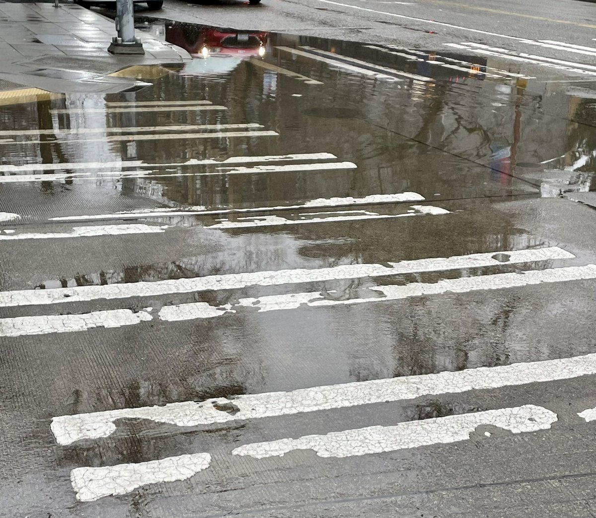 GreatWildWest tweet media