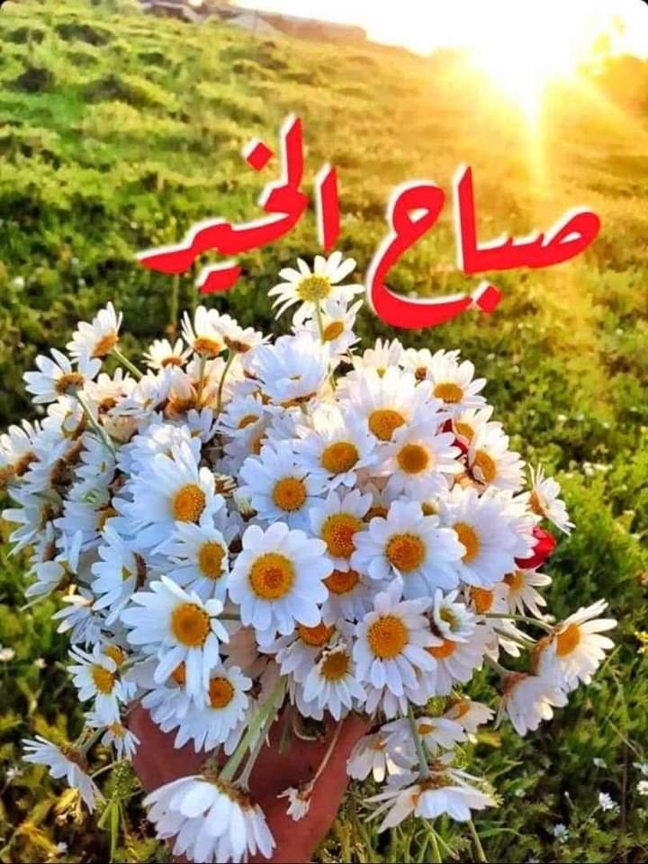 Ahmadwe87 (@ahmadwe87) on Twitter photo 