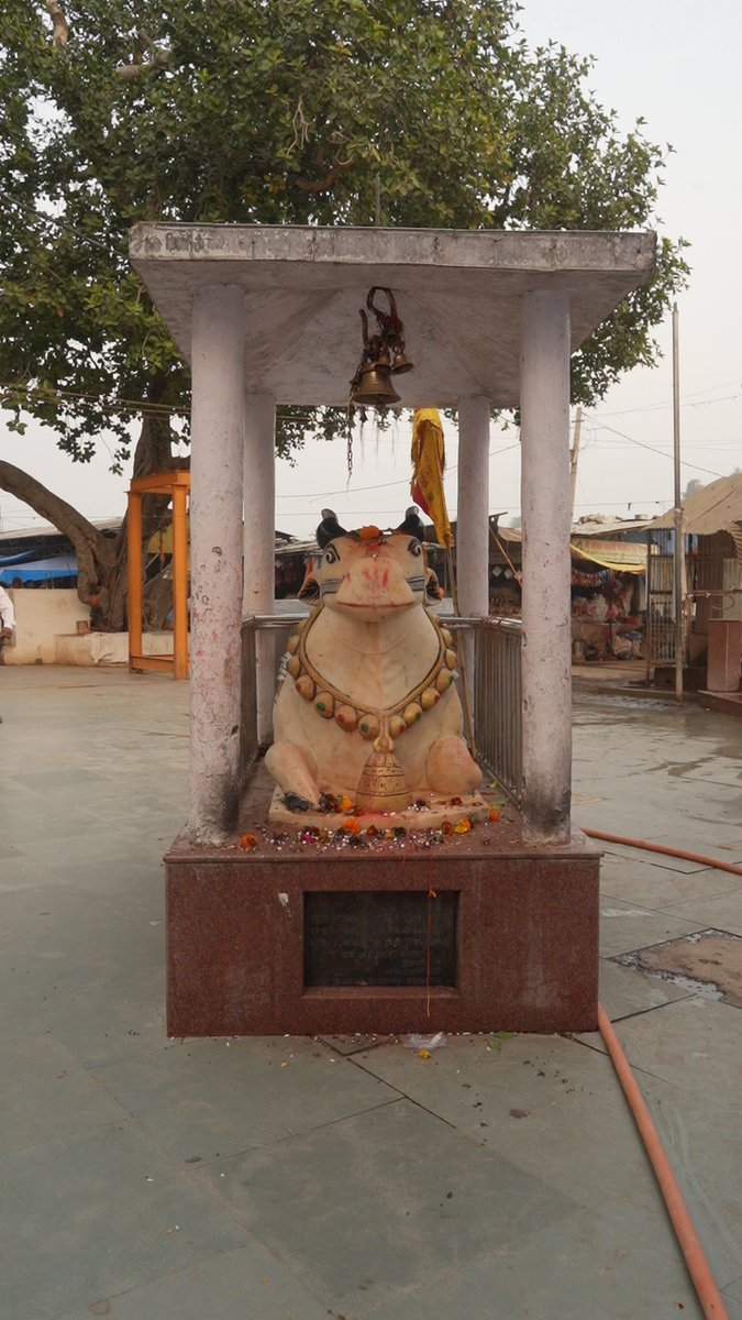 Nandi Baba ki Jai!!

#UPtourism #Rural #RuralHeritage #Heritage #UttarPradeshCountryside #Villag #UttarPradeshUnplugged #RuralHeritageUP#TraditionalTrails #RuralUttarPradesh #LocalLife #Local #AgriAdventure #Agri #RuralHarvest #Agriculture #Green #AgriHeritage #Harvest #ExploreUP