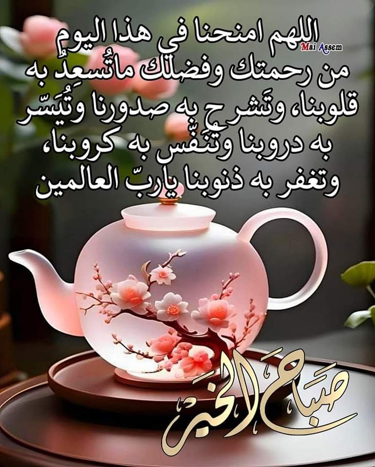 سلمان عايض الحارثي (@abo_reetal2020) on Twitter photo 