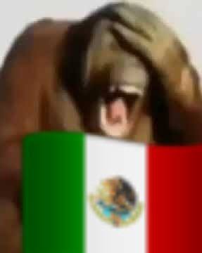 elvasodeaguaaa's tweet photo. @SKELET0RUS Jade sin los diez filtros q se pone https://t.co/OZ10e669Yw