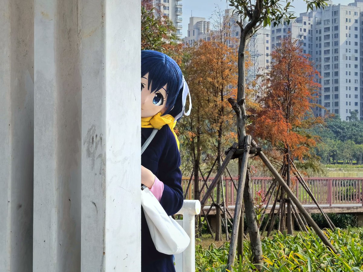 暮风径羽 tweet media
