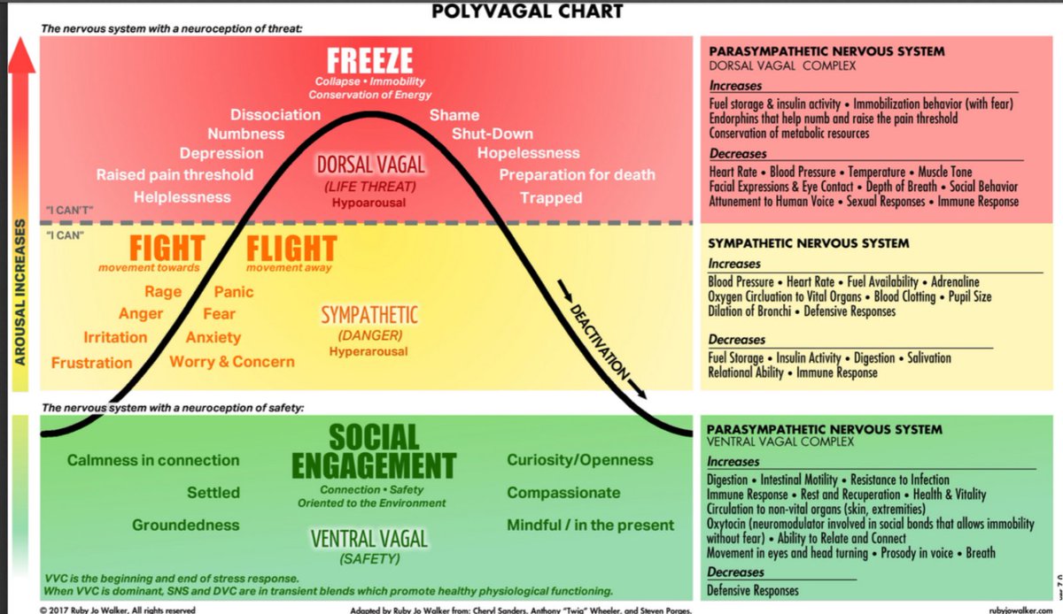 I was deployed on combat ops in Afghanistan in 2007 straight from training (punchy but straightforward), 2008 (Buckshee) and 2009 into 2010 (with US Special Forces, very punchy indeed).

Got a bit angry when I got back from that last one; some very violent memories. Had a bit of